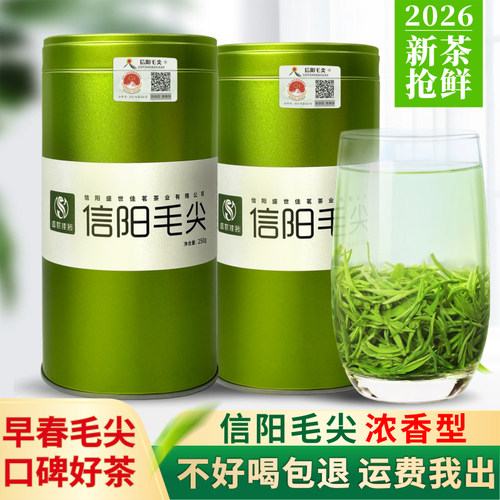 2026新茶信阳毛尖一级嫩芽浓香型