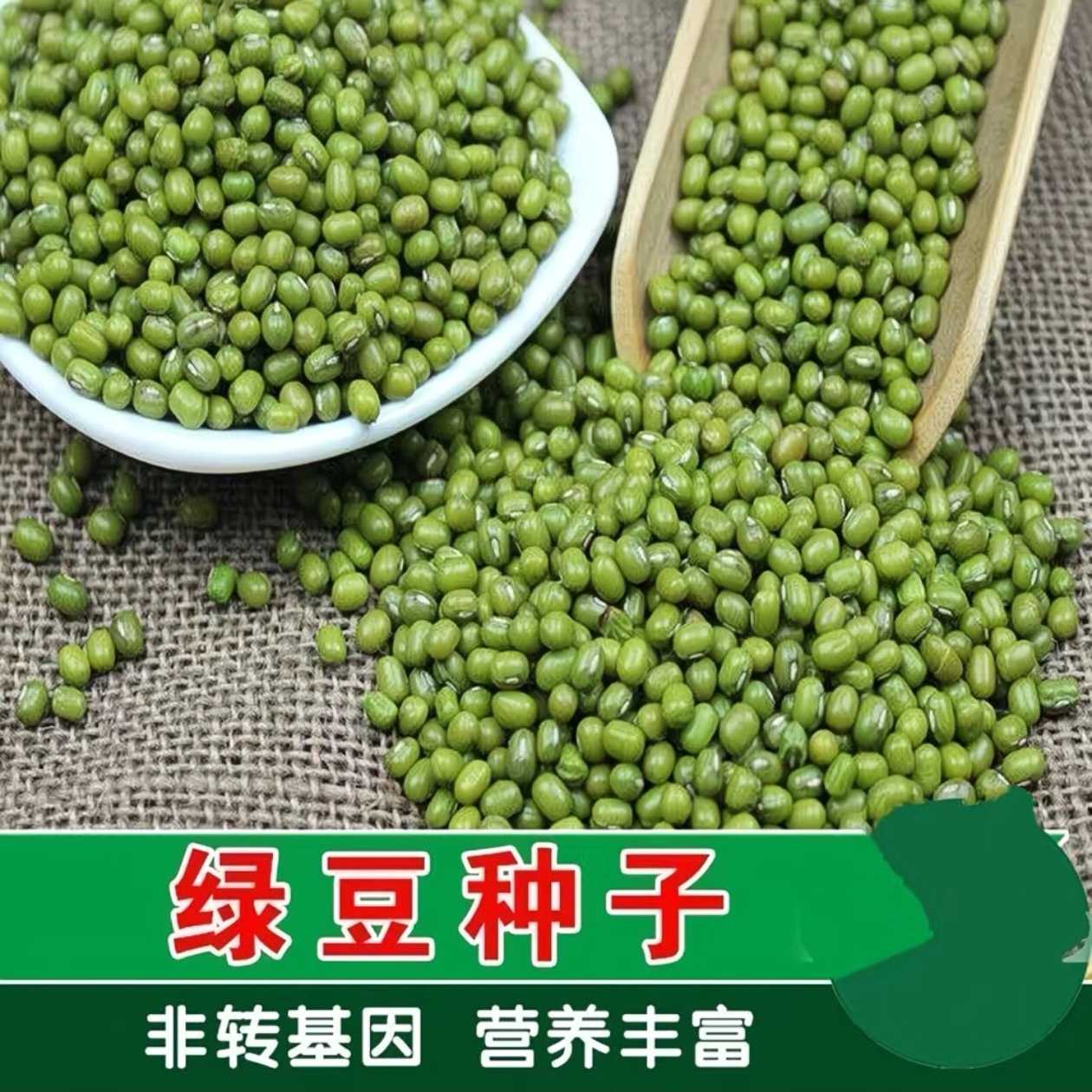 绿豆种子早熟高产非转基因杂粮籽