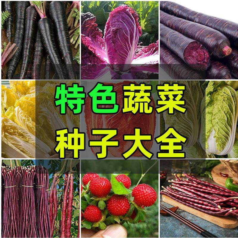 特色优质蔬菜种籽大全瓜果蛇莓白菜萝卜野菜大全原装正品蔬菜种子
