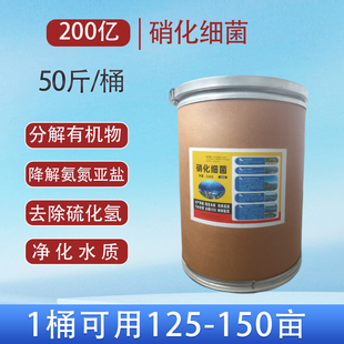 硝化细菌水产养殖生物降氨氮亚硝酸盐净化水质绿水黄水反硝化细菌