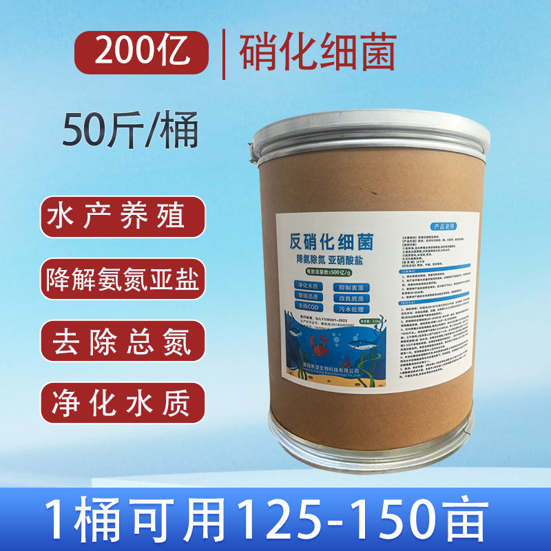 反硝化细菌水产养殖生物降氨氮亚硝酸盐污水废水处理净化水质