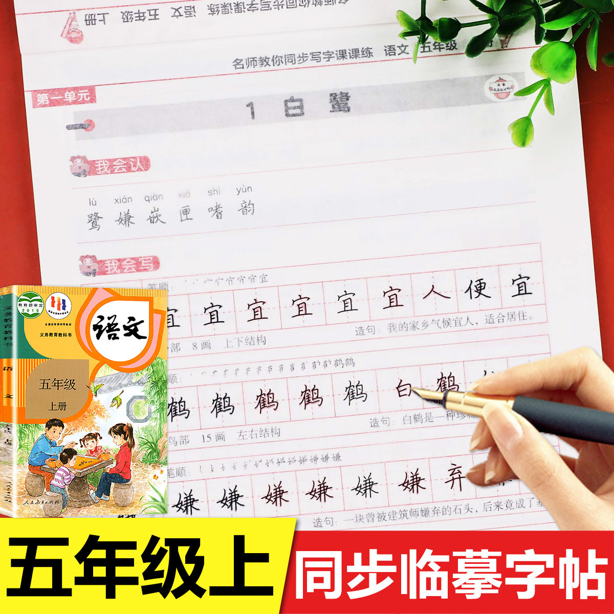 名师教你同步写字课练五年级