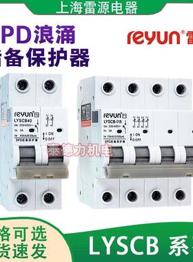 上海雷源LYSCB防雷浪涌专用后备保护器SPD前后置15/20/40/60/80ka