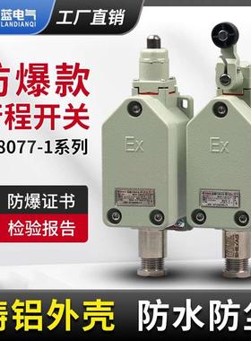 LX8077/1-20防爆行程开关 LX8077-1/11 L8077-1/20 隔爆型