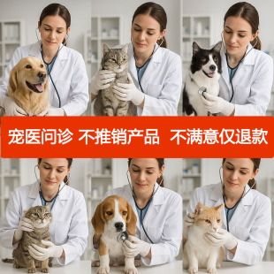 宠物医生问诊宠医24小时在线狗狗猫咪狗医生看诊咨询宠物医院兽医