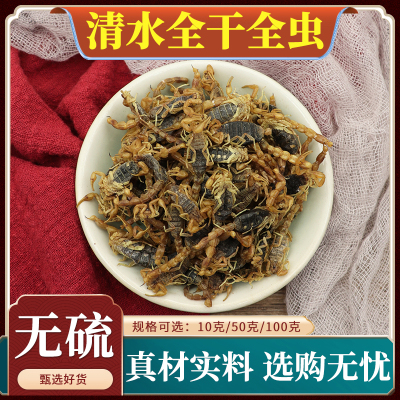 清水全干全虫中药材清水全虫