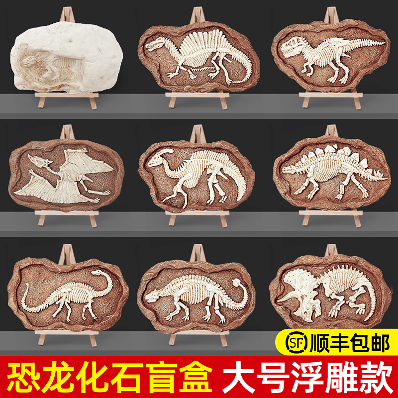 恐龙化石儿童挖宝石男孩