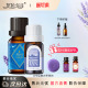 新疆伊帕尔汗薰衣草精油单方太空蓝面部脸部精油平衡水油按摩香薰