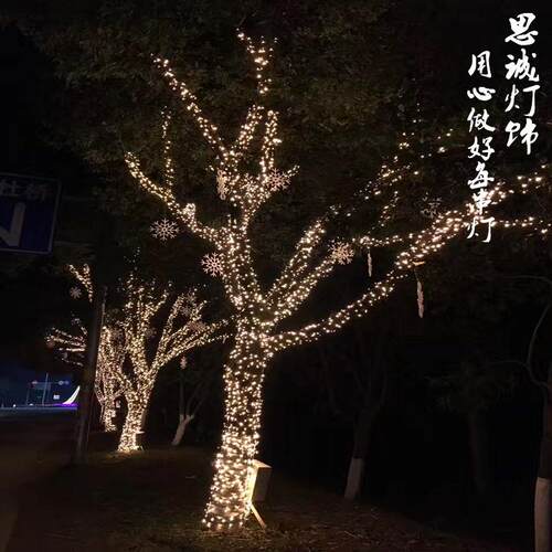 LED彩灯闪灯串灯婚庆新年圣诞满天星房间装饰灯庭院缠树灯景观灯