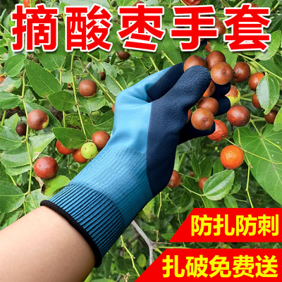 摘酸枣手套防刺防扎灵活透气