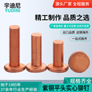GB109平头紫铜铆钉铜钉实心卯丁平帽M1.5M2M2.5M3M4M5M6M8 敲击式