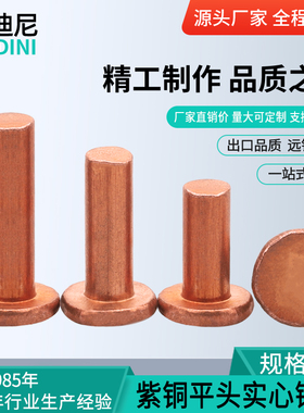 敲击式GB109平头紫铜铆钉铜钉实心卯丁平帽M1.5M2M2.5M3M4M5M6M8