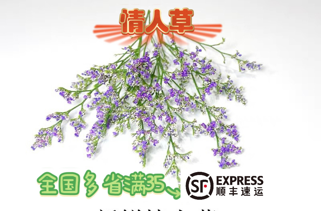情人草盘饰花西餐日料摆盘装饰