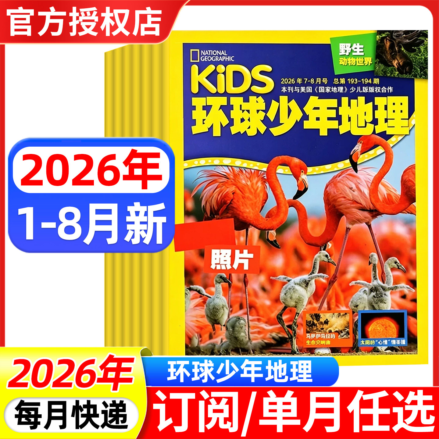 环球少年地理杂志少年版2026年4/5月/2025年1-12月/全年半年订阅 kids美国国家地理小学生科普非万物博物2024过刊书籍