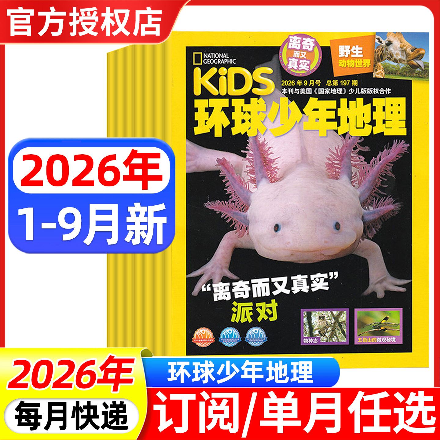 环球少年地理杂志少年版2026年4/5月/2025年1-12月/全年半年订阅 kids美国国家地理小学生科普非万物博物2024过刊书籍