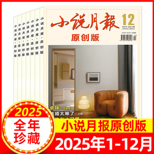 全年半年订阅 百花文艺文学爱好者文学文摘小说散文诗歌 增刊1 邮发代号6 12月 2025年1 小说月报杂志原创版