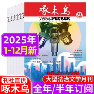 869法治文学月刊 12月 邮发代号2 破案悬疑侦探推理纪实文学2024年过刊 2026全年半年订阅 啄木鸟杂志2025年1