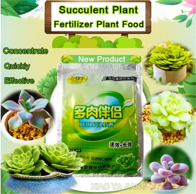 1pc Organic Succulent fertilizer companion concentrate Anti-