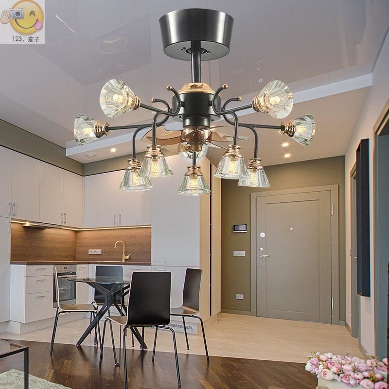 Fan lamp ceiling lamp sitting room fan droplight a whole