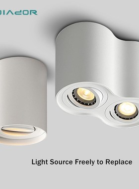 Free bulb LED Ceiling lamp 5W 10W 14W G10 COB Spot light lam