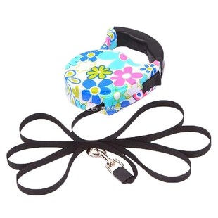 10M Retractable Dog Leash Traction Rope Pet Dog Puppy Wa