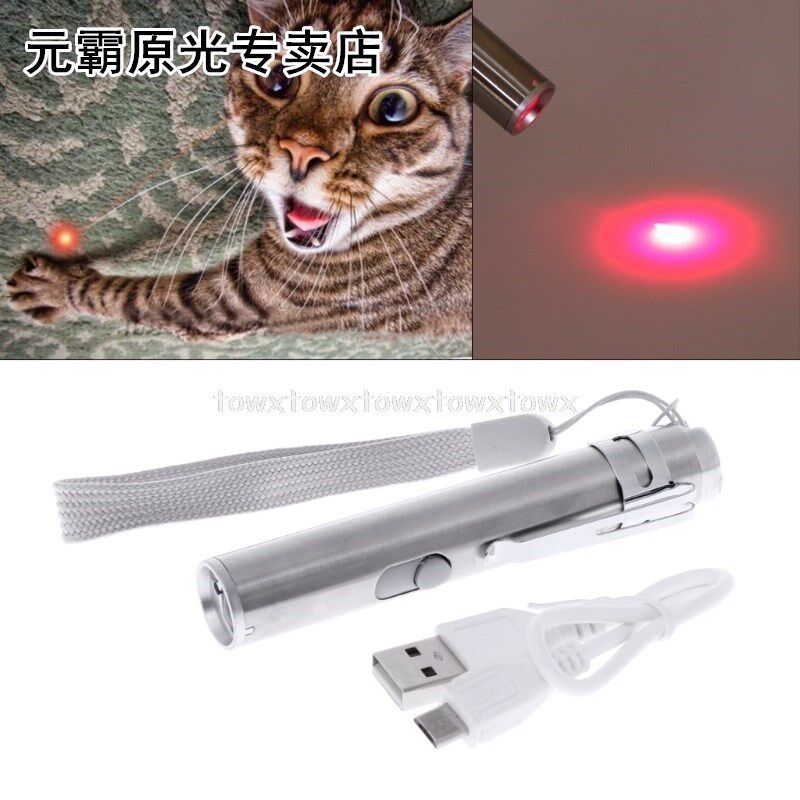 3 in 1  LED Chase Toys Laser Pointer Pen USB Rechargeable