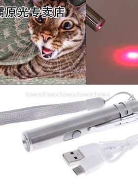 3 in 1  LED Chase Toys Laser Pointer Pen USB Rechargeable