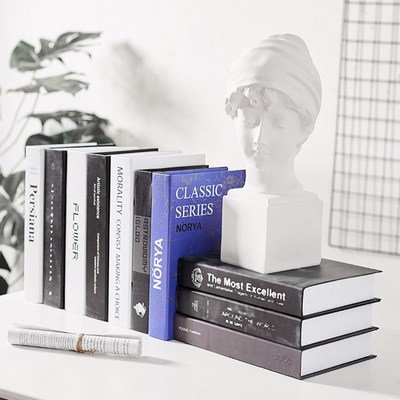 NoRDic Room DecoRAtioN Home LiviNgRoom FAke Book PuB ARtwoRk