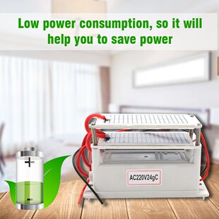 Portable Ceramic Ozone Generator 220V 24g Long Life Two Ozon