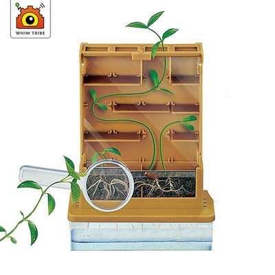 Experiment Physics Puzzle Technology  Peanuts  Dr Seuss  Ki