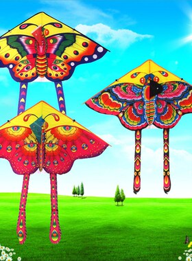 Outdoor Kites Butterfly Flying Kite with Winder Board String