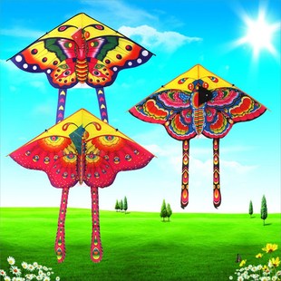 Outdoor Kites Butterfly Flying Kite with Winder Board String