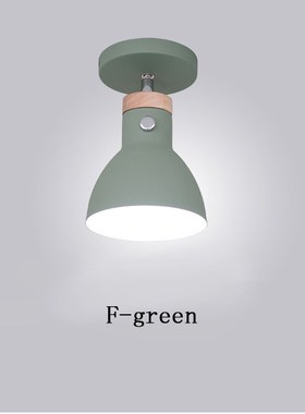 Ceiling lights  nordic decoration home ceiling lamp loft dec