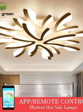 Led Chandelier Ceiling Lamps Modern LED Ceiling Light Living