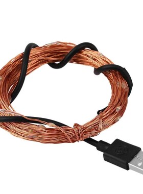 10M 100leds IP66 Copper Wire Garland USB LED String Lights H