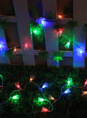 Holiday Lighting AC220V 5M 50leds 3W Xmas Garland light luce