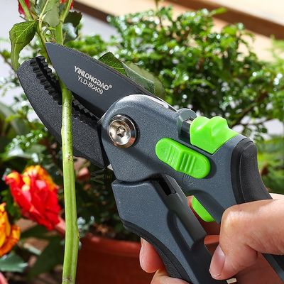 Plant trim horticulture Hand pruner cut secateur Shrub Garde