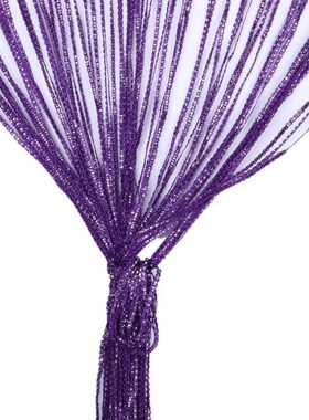 hot sale 1m*2m Silver Leather Line Curtain String Curtain Do