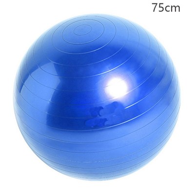 Sports yoga ball Pilates balance ball explosion-proof gym ho
