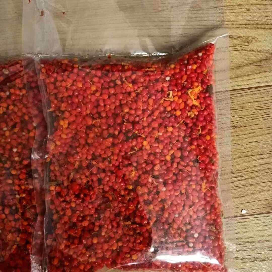 新鲜重楼种子正宗云独一枝花七月重楼红白南角连红色重楼种苗多芽