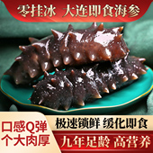 锦食岛零挂冰即食海参500g辽刺参大连鲜食活海参深海海参礼盒装