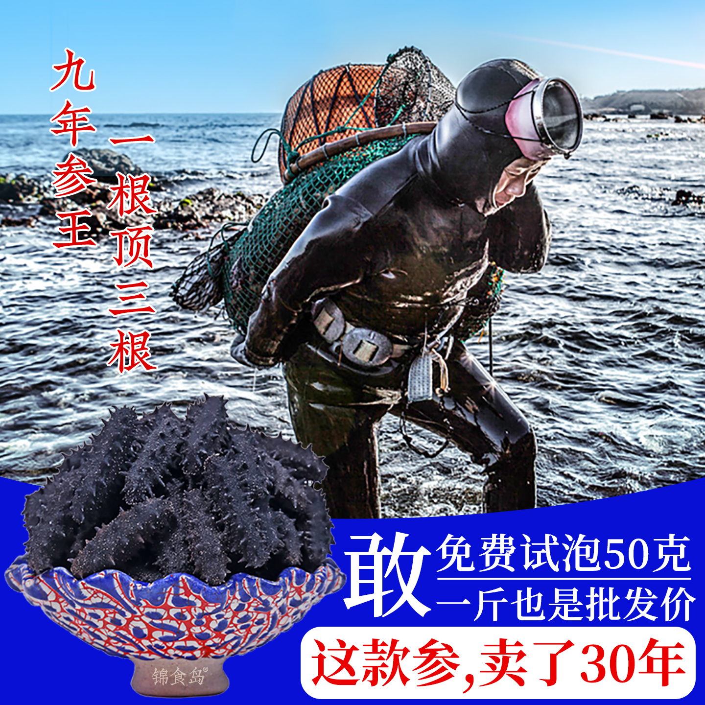 锦食岛大连海参干货500g特价辽参野生9年淡干海参非即食刺渗礼盒