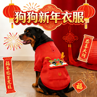 罗威纳狗狗2026新年衣服红色喜庆宠物高颜值马年外出大型犬漂亮
