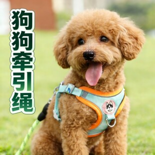 背心式泰迪狗狗牵引绳胸背小型犬调节背带链子栓狗绳防挣脱小狗