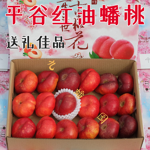 现摘九蟠园平谷油蟠桃红油蟠纽扣蟠油桃红蟠桃北京桃子水果送礼品