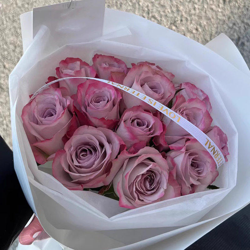 气场 超新品切花玫瑰复古灰紫调月季花苗小苗,鲜花速递/花卉仿真/绿植园艺,月季/蔷薇/玫瑰,淘宝优惠券,粉丝福利购,淘宝优惠卷