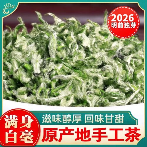 2026春茶都匀头采嫩芽手工送长辈