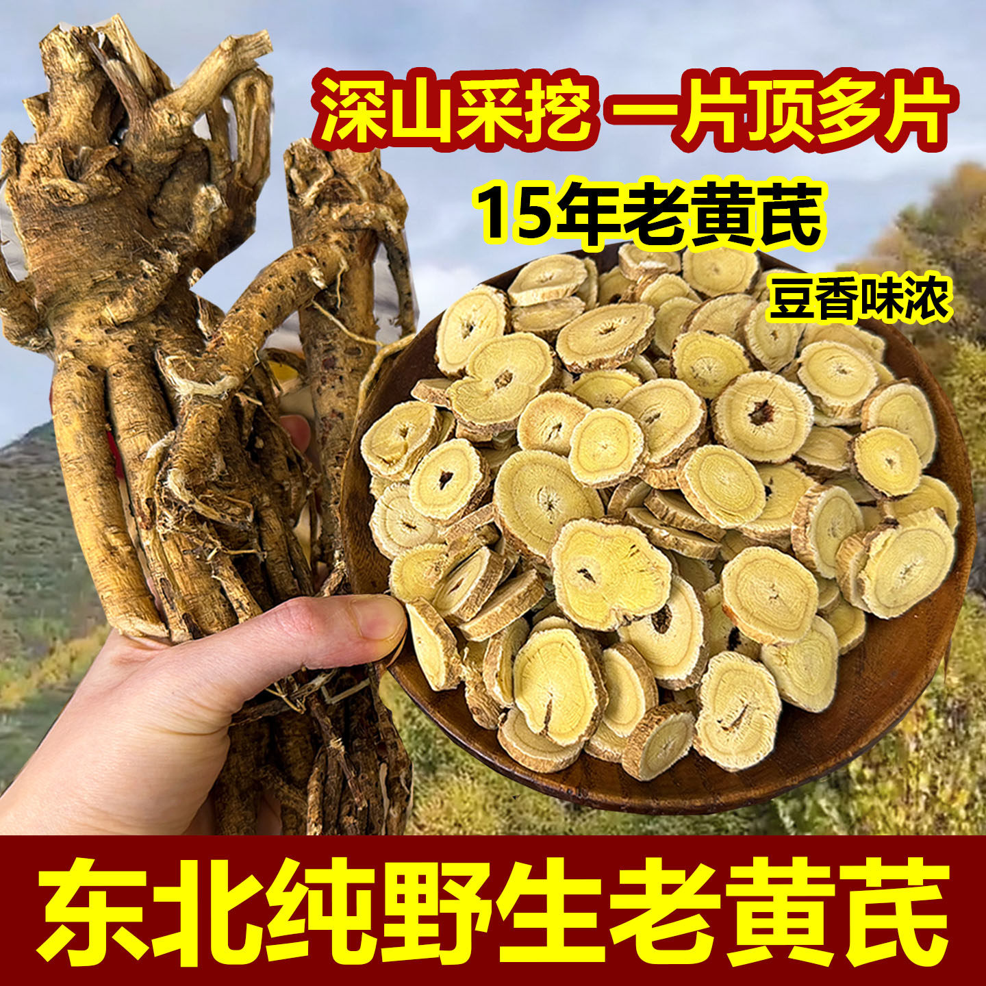 黄芪中药材长白山纯野生老根切片