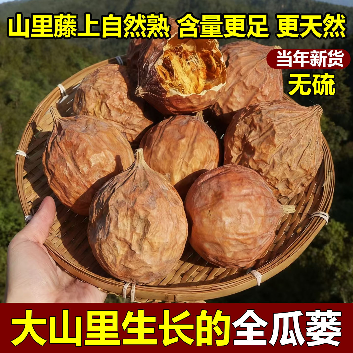 全瓜蒌中药材500g深山瓜蒌自然晒干无熏硫整个瓜蒌果新货精选瓜蒌