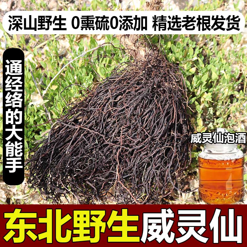 东北野生威灵仙中药材500g